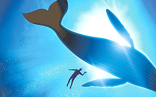Kolejna ofiara gry internetowej „Niebieski wieloryb”